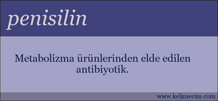penisilin